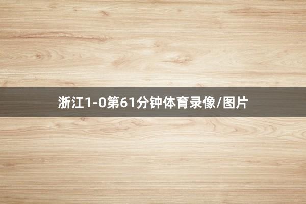 浙江1-0第61分钟体育录像/图片