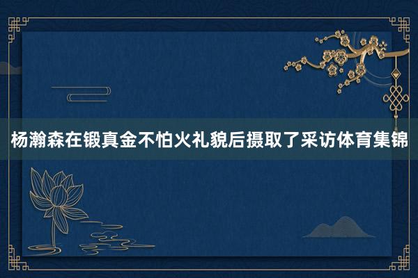 杨瀚森在锻真金不怕火礼貌后摄取了采访体育集锦