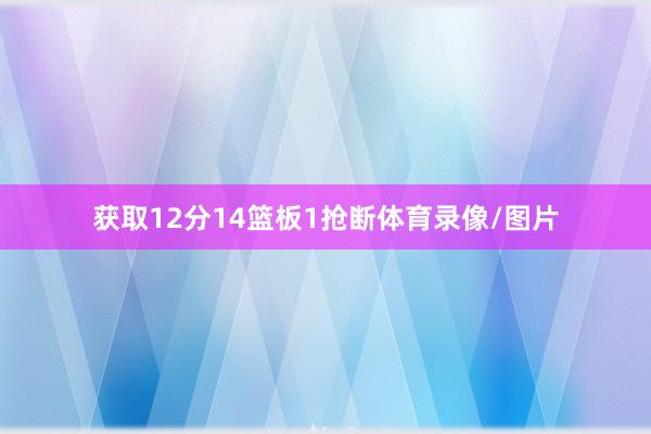 获取12分14篮板1抢断体育录像/图片