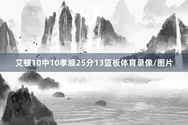艾顿10中10孝顺25分13篮板体育录像/图片