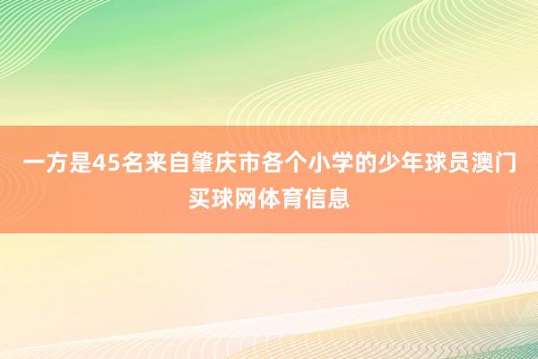 一方是45名来自肇庆市各个小学的少年球员澳门买球网体育信息