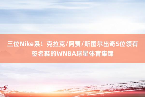 三位Nike系！克拉克/阿贾/斯图尔出奇5位领有签名鞋的WNBA球星体育集锦