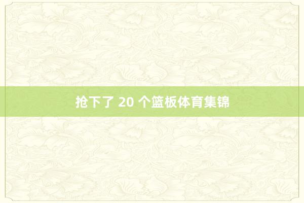 抢下了 20 个篮板体育集锦