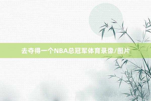 去夺得一个NBA总冠军体育录像/图片