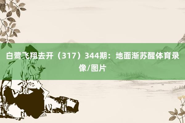 白鹭飞翔去开（317）　　344期：地面渐苏醒体育录像/图片