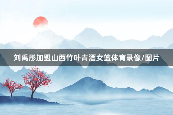 刘禹彤加盟山西竹叶青酒女篮体育录像/图片