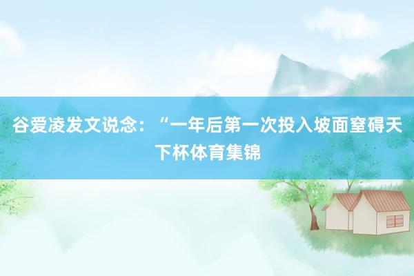 谷爱凌发文说念：“一年后第一次投入坡面窒碍天下杯体育集锦