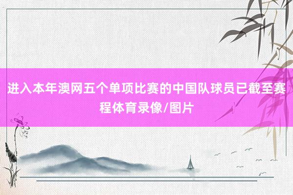 进入本年澳网五个单项比赛的中国队球员已截至赛程体育录像/图片