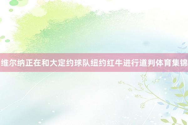 维尔纳正在和大定约球队纽约红牛进行道判体育集锦