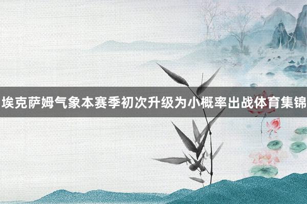 埃克萨姆气象本赛季初次升级为小概率出战体育集锦