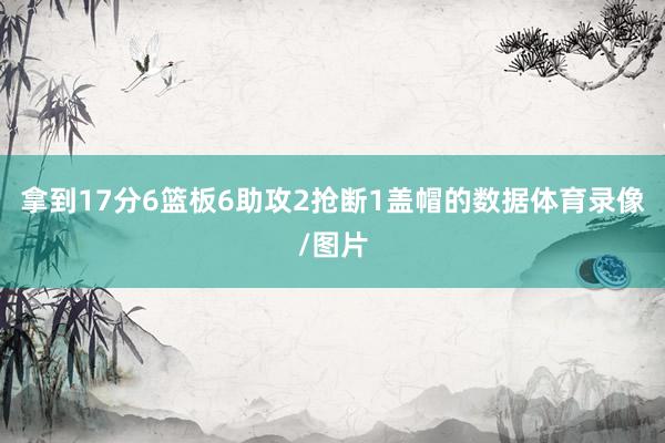 拿到17分6篮板6助攻2抢断1盖帽的数据体育录像/图片