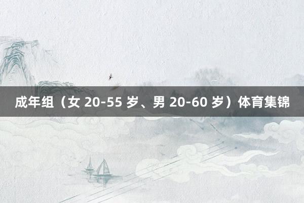 成年组（女 20-55 岁、男 20-60 岁）体育集锦