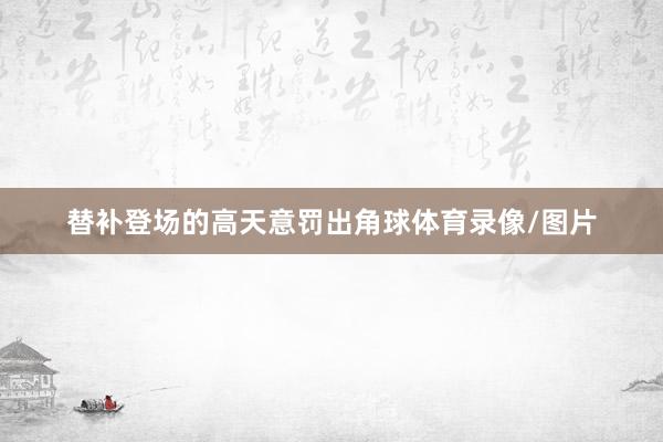替补登场的高天意罚出角球体育录像/图片