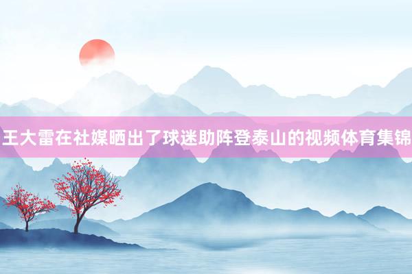 王大雷在社媒晒出了球迷助阵登泰山的视频体育集锦