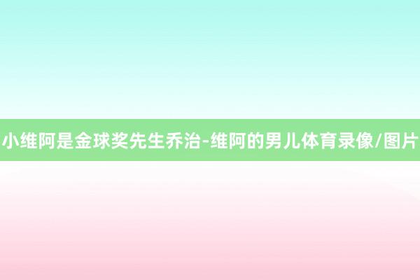 小维阿是金球奖先生乔治-维阿的男儿体育录像/图片