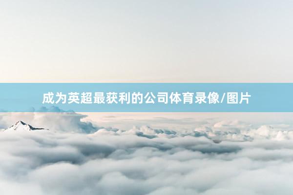 成为英超最获利的公司体育录像/图片