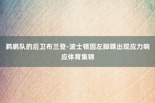 鹈鹕队的后卫布兰登-波士顿因左脚踝出现应力响应体育集锦
