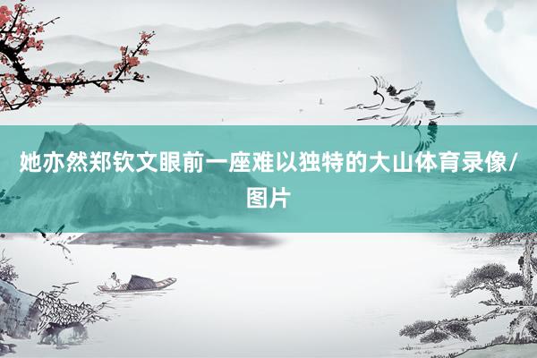 她亦然郑钦文眼前一座难以独特的大山体育录像/图片