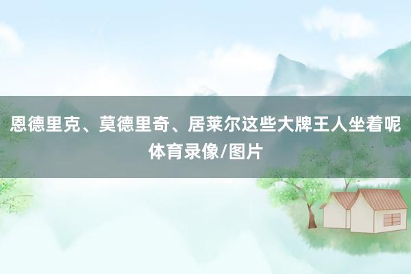 恩德里克、莫德里奇、居莱尔这些大牌王人坐着呢体育录像/图片