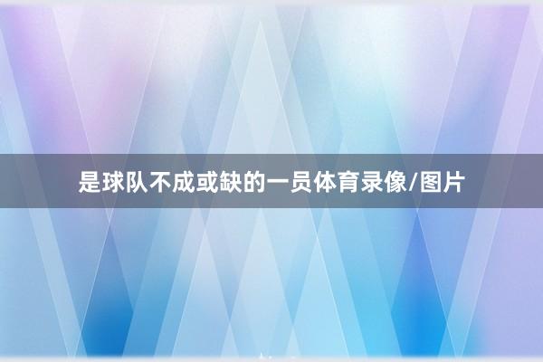 是球队不成或缺的一员体育录像/图片