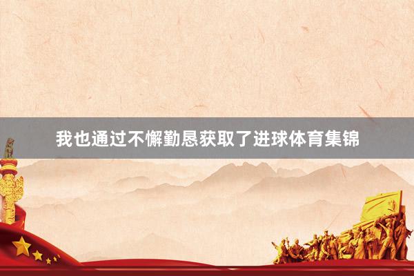 我也通过不懈勤恳获取了进球体育集锦