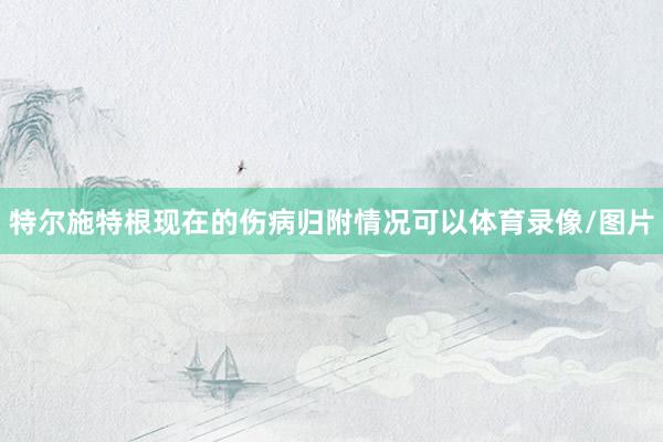 特尔施特根现在的伤病归附情况可以体育录像/图片