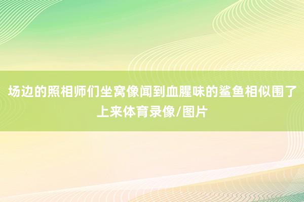 场边的照相师们坐窝像闻到血腥味的鲨鱼相似围了上来体育录像/图片