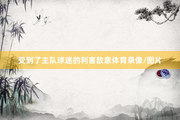 受到了主队球迷的利害敌意体育录像/图片