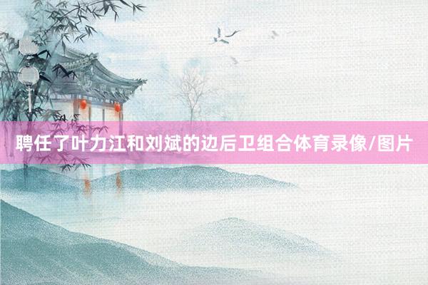 聘任了叶力江和刘斌的边后卫组合体育录像/图片