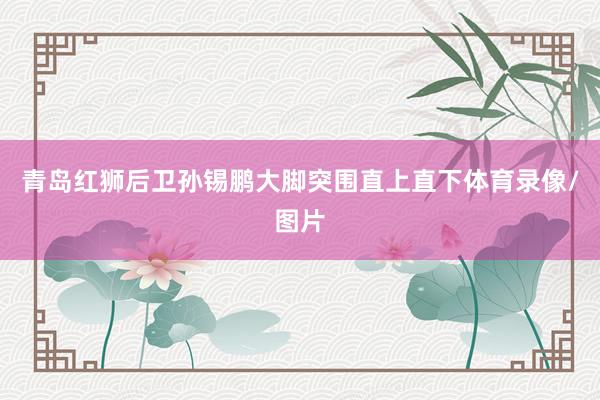 青岛红狮后卫孙锡鹏大脚突围直上直下体育录像/图片