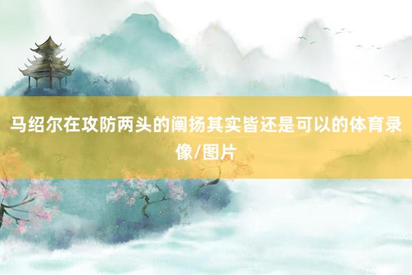 马绍尔在攻防两头的阐扬其实皆还是可以的体育录像/图片