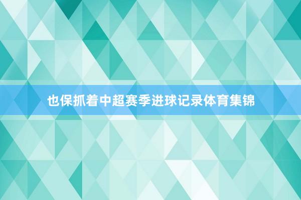 也保抓着中超赛季进球记录体育集锦