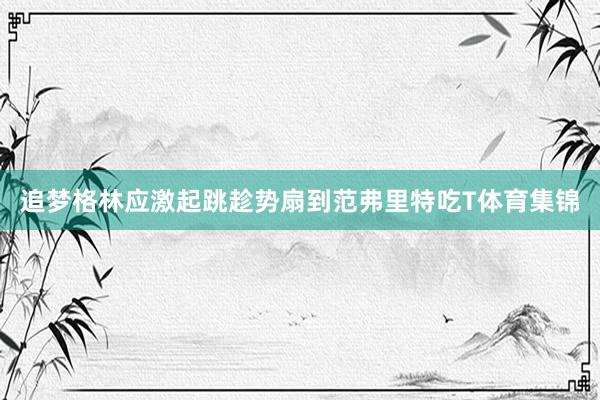 追梦格林应激起跳趁势扇到范弗里特吃T体育集锦