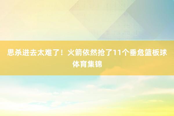 思杀进去太难了！火箭依然抢了11个垂危篮板球体育集锦