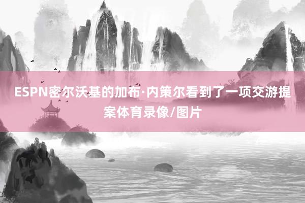 ESPN密尔沃基的加布·内策尔看到了一项交游提案体育录像/图片