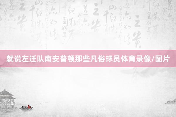 就说左迁队南安普顿那些凡俗球员体育录像/图片