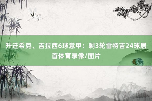 升迁希克、吉拉西6球意甲：剩3轮雷特吉24球居首体育录像/图片