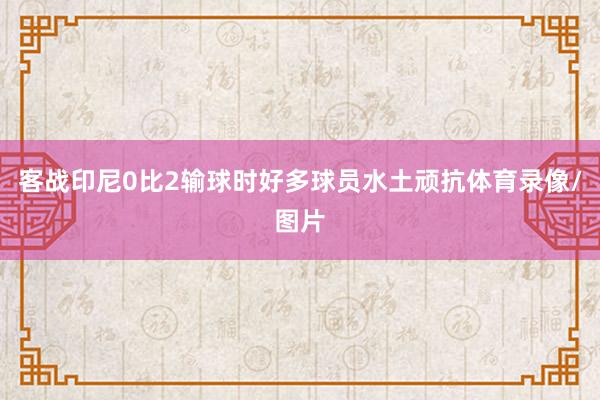 客战印尼0比2输球时好多球员水土顽抗体育录像/图片