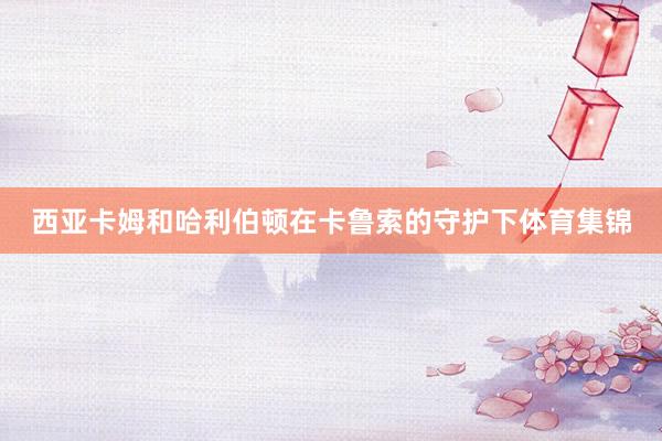 西亚卡姆和哈利伯顿在卡鲁索的守护下体育集锦