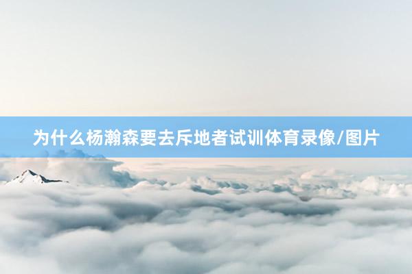 为什么杨瀚森要去斥地者试训体育录像/图片