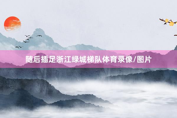 随后插足浙江绿城梯队体育录像/图片