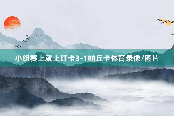 小组赛上就上红卡3-1帕丘卡体育录像/图片