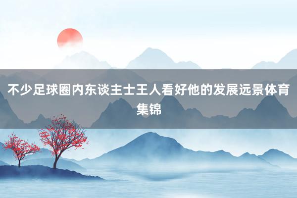不少足球圈内东谈主士王人看好他的发展远景体育集锦