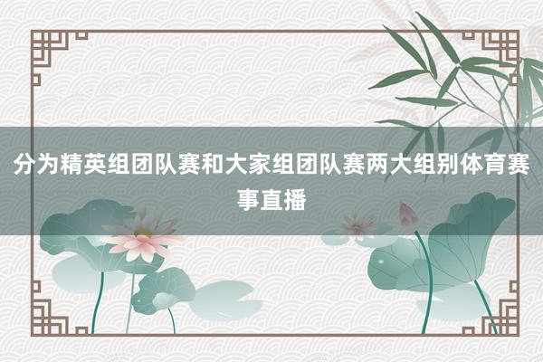 分为精英组团队赛和大家组团队赛两大组别体育赛事直播
