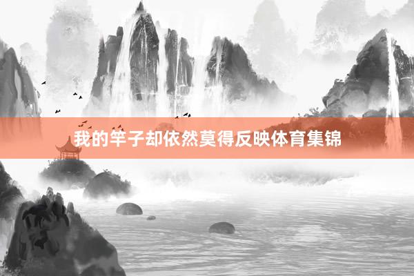 我的竿子却依然莫得反映体育集锦