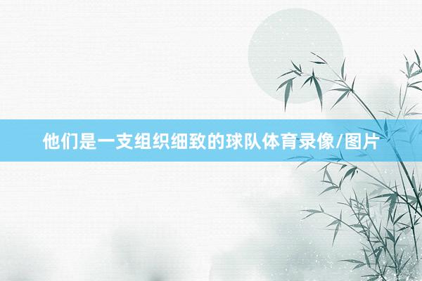 他们是一支组织细致的球队体育录像/图片