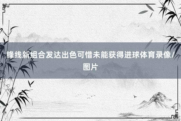 锋线新组合发达出色可惜未能获得进球体育录像/图片