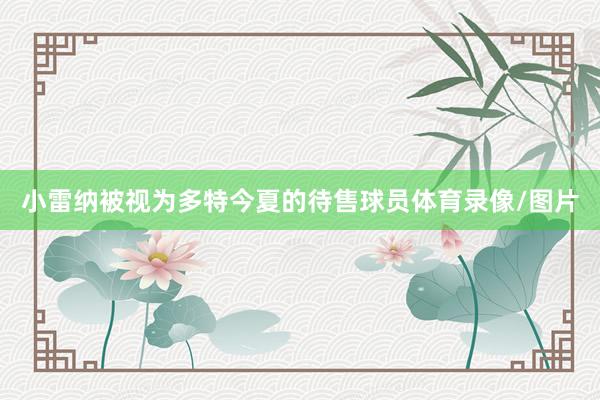 小雷纳被视为多特今夏的待售球员体育录像/图片