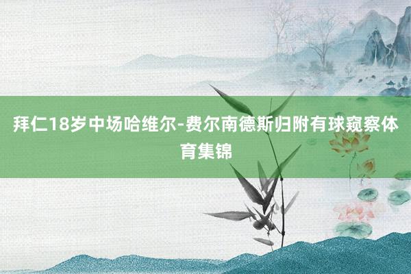 拜仁18岁中场哈维尔-费尔南德斯归附有球窥察体育集锦