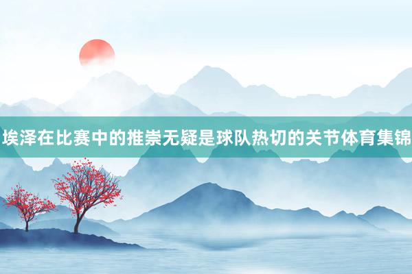 埃泽在比赛中的推崇无疑是球队热切的关节体育集锦